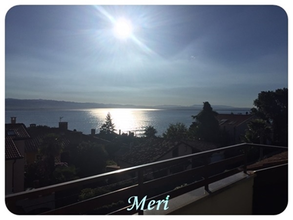 Apartman Meri